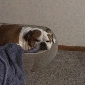 Meet your Posher, Kelly